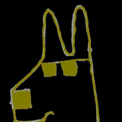 Cymdeithas Y Sbectol Haul