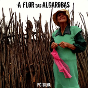 A Flor das Algarobas