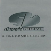 Slammin' Vinyl - Old Skool Collection