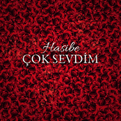 Çok Sevdim