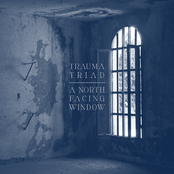 A North Facing Window