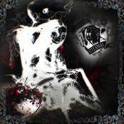 I See You In My Nightmares <333