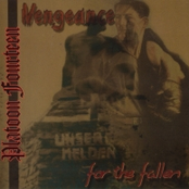 Vengeance for the fallen