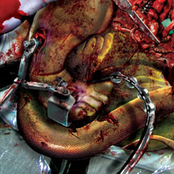 Slimewave - Goregrind Series