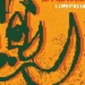 L' esprit de la brousse