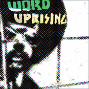 Word Uprising