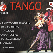The World Of Tango