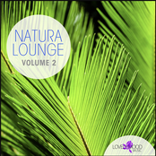 Natura Lounge, Vol. 2