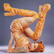 PUSSY IN BOOTS