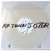 Mr Twin Sister: Mr Twin Sister