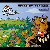 Operation Gentiane