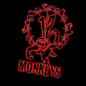 Twelve Monkeys