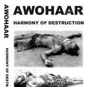 Harmony Of Destruction (demo I 2008)