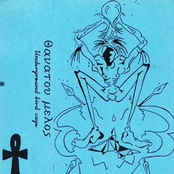 Underground Bird Cage