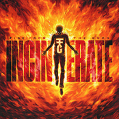 Incinerate