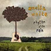 Amelia White: Rhythm of the Rain