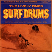 Surfer Boogie by The Lively Ones