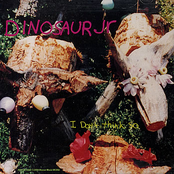 What Else Is New (live) by Dinosaur Jr.