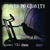 Doll Size by Slaves To Gravity