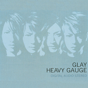 HEAVY GAUGE