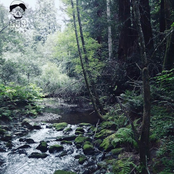 Meet Me Where The River Turns Grey