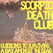 Guidelines To Surviving A Day Amongst The Dead