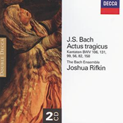 Bach, J.S.: Cantatas BWV 106, 131, 99, 56, 82 & 158