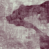 Nestle Within