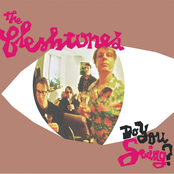 The Fleshtones: Do You Swing?