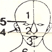 Pure And Painless Pleasures