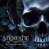 Во мраке холодов