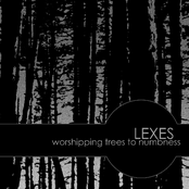 Lexes