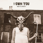 Mick Flannery: I Own You