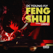 DC Young Fly: Feng Shui