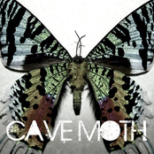 cave moth