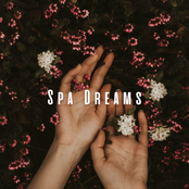 Spa Dreams: Unwinding with Ambient Music