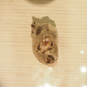 Everyone Is an Idiot