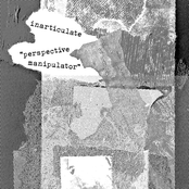 Perspective Manipulator