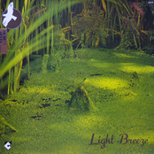 Flash Resonance: Light Breeze