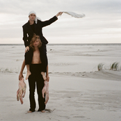 The Wings Of The Fly