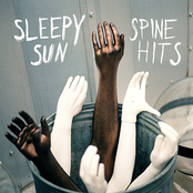 Sleepy Sun: Spine Hits