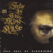 Fear Is The Mind Killer by Pale Soul