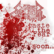 The Bleeding Mirror (Singiel CD)