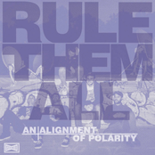 Rule Them All: An Alignment Of Polarity