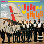 The Dubs Meet The Shells