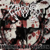 Imminent Repulsion by Toxocara