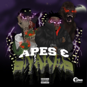 Apes & Snakes