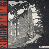 Seventeen Going Under