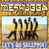 Mazel Tov Cocktail by Meshugga Beach Party
