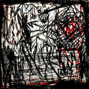 WOLFMAN SUICIDE FILES